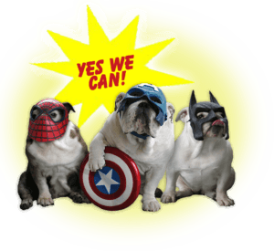 yes we can