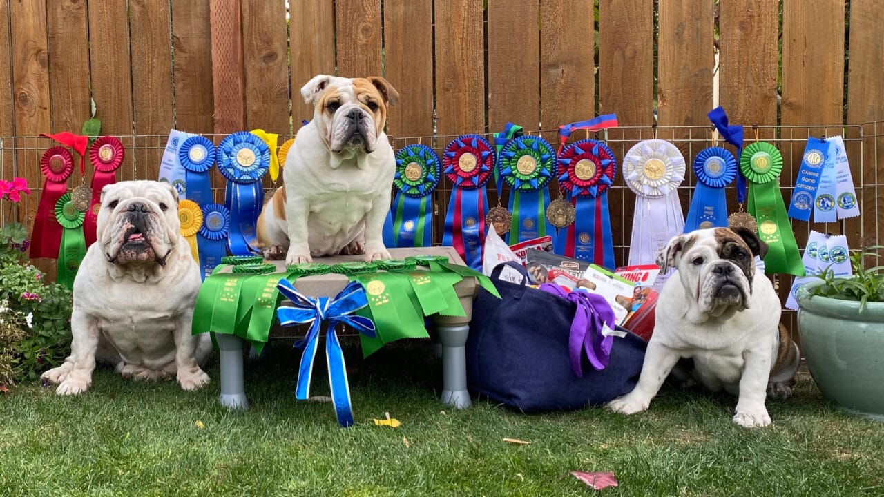 2023 BCA NATIONALS intelligence overview