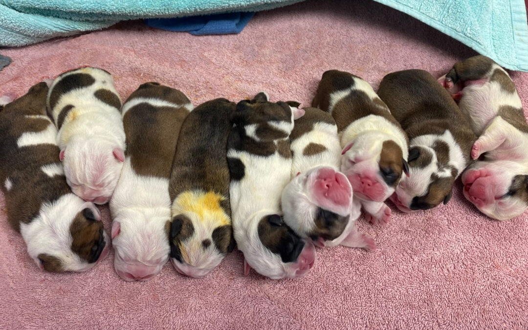 We WeLCoME OuR ACaDeMY AWaRDs LiTTeR!