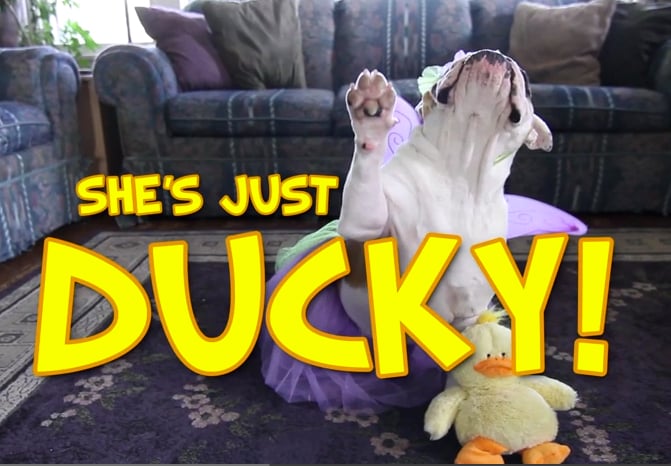 just ducky