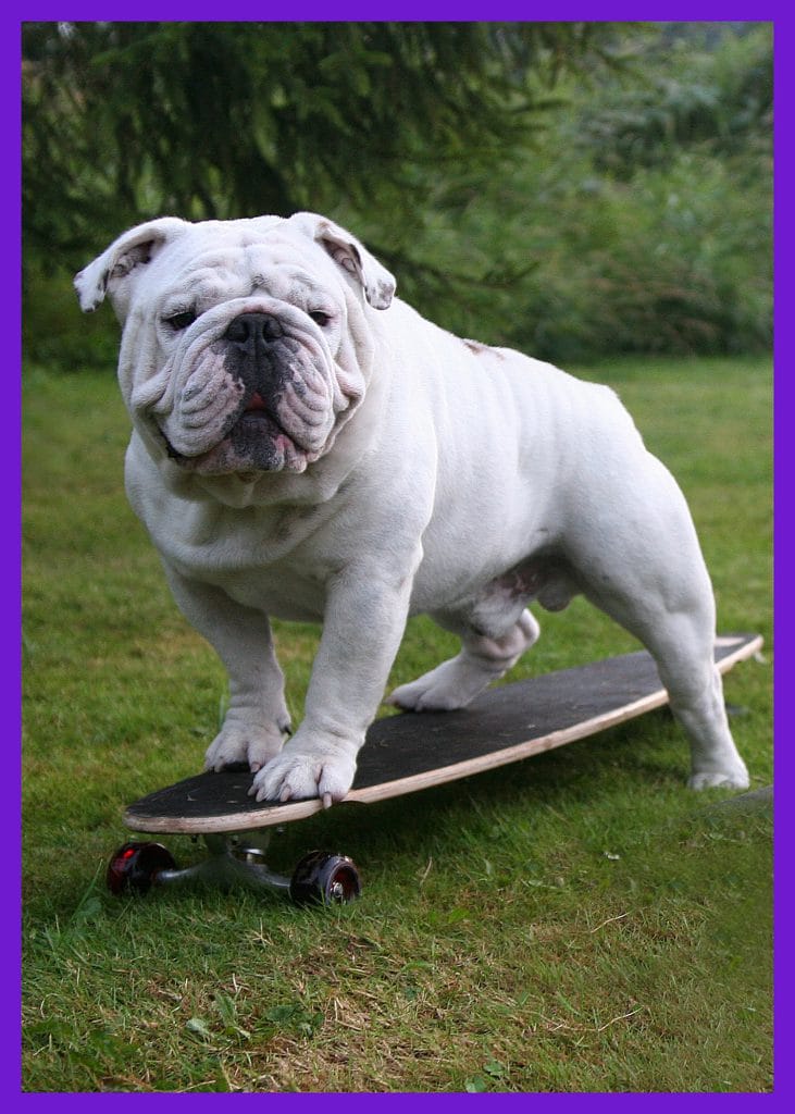 tricks