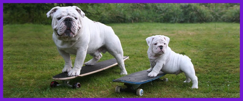 tricks
