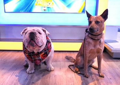 Gabe & Ruger pose on the (indoors) GMA set