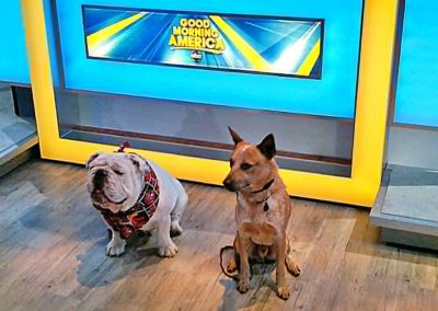 Gabe & Ruger pose on the (indoors) GMA set