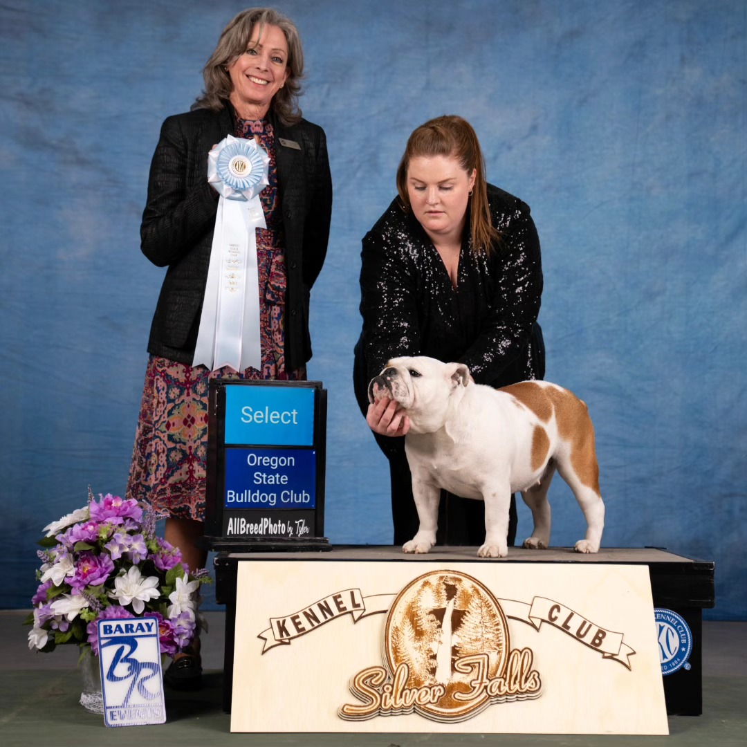 Gertie.GCH..OSBC.3.25