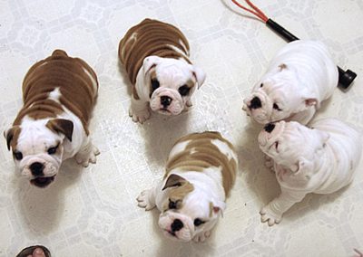 "We want dinner!"