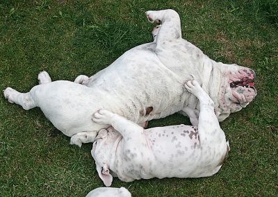 Wrestling with Dad