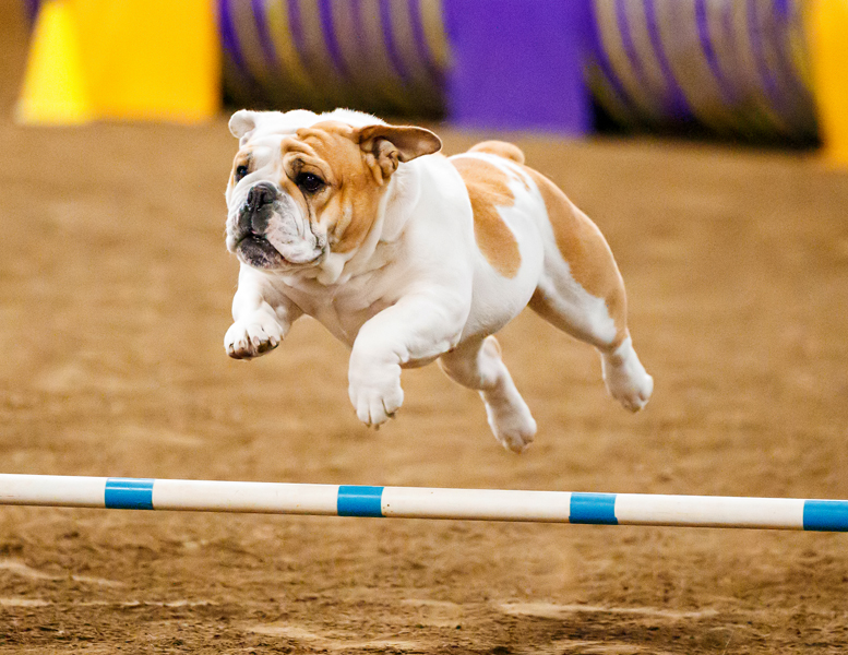 JuMpiN’ JiMMiNY, BeSA HaS HeR NJP!