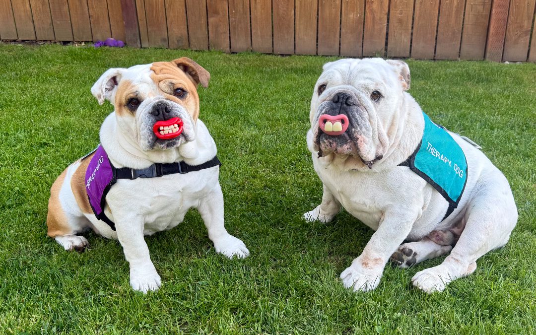 THeRaPY DoG “THD” DuO!