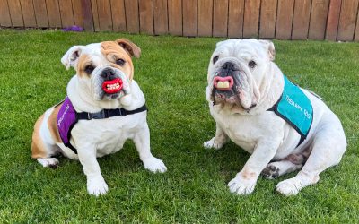 THeRaPY DoG “THD” DuO!