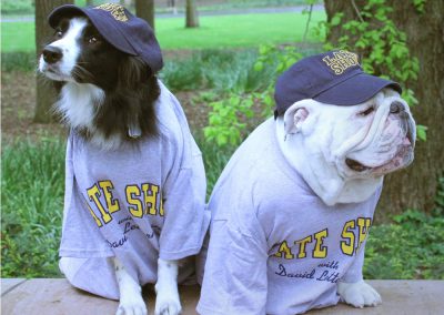 2 dogs, Gabe & Nana, showing off their swag in Central Park