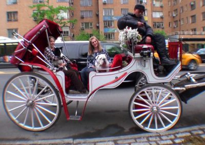a couple of people in a carriage with dogs, Gabe and Nana