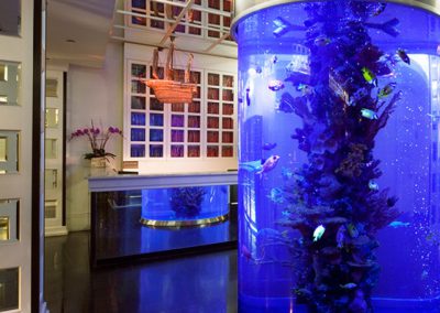 The gorgeous aquarium in the hotel lobby