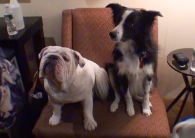 Gabe and Nanna, 2 dogs hanging out in the Green Room waiting for our auditions