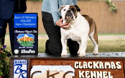 DUaL CHaMPiON PiCkLeS!