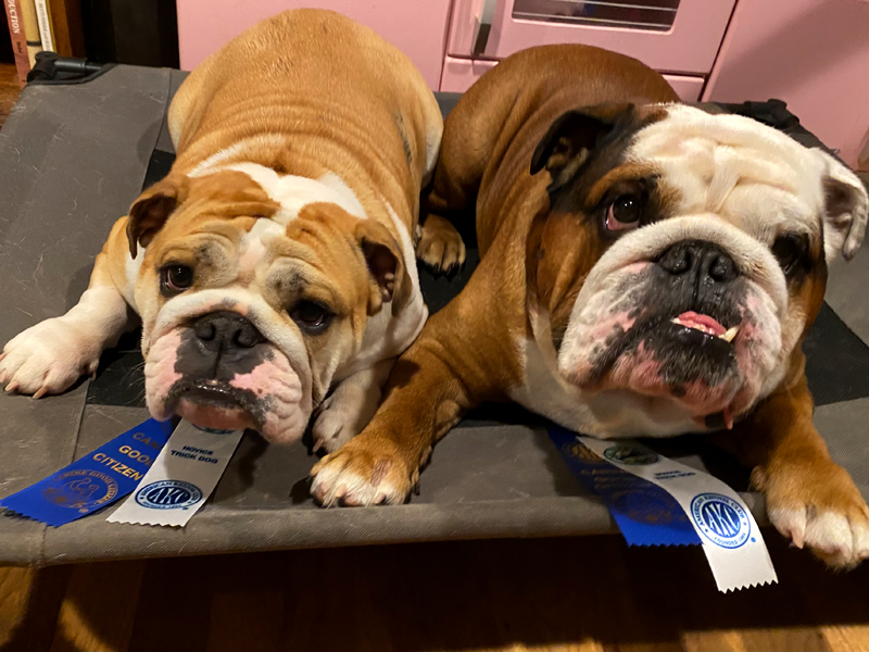 2 SiTTiNGBuLLiES + 2 WEeKS=8 TiTLeS!