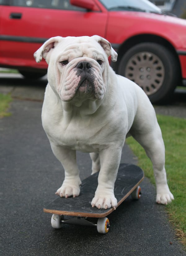 RuffRiderGabe.SM coming soon