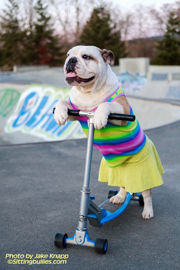 SmoochScootinSkirt.JRK.SM coming soon