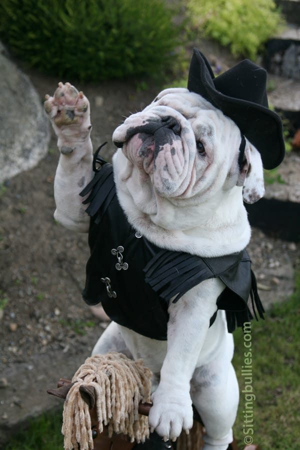 SwearingIn.SM coming soon