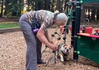 Holly Parkour Through Sittingbullies bulldog!