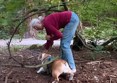 Holly Parkour Under Sittingbullies bulldog!