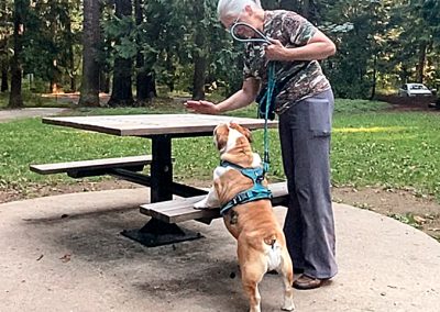 Holly Parkour Sittingbullies bulldog!