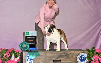 A RiLLY BiG WiN FoR PiCkLeS!