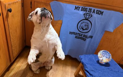 DiAMoNDS aRE THeSE GiRLiES BeST FRiEND!