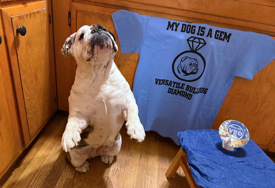 DiAMoNDS aRE THeSE GiRLiES BeST FRiEND!