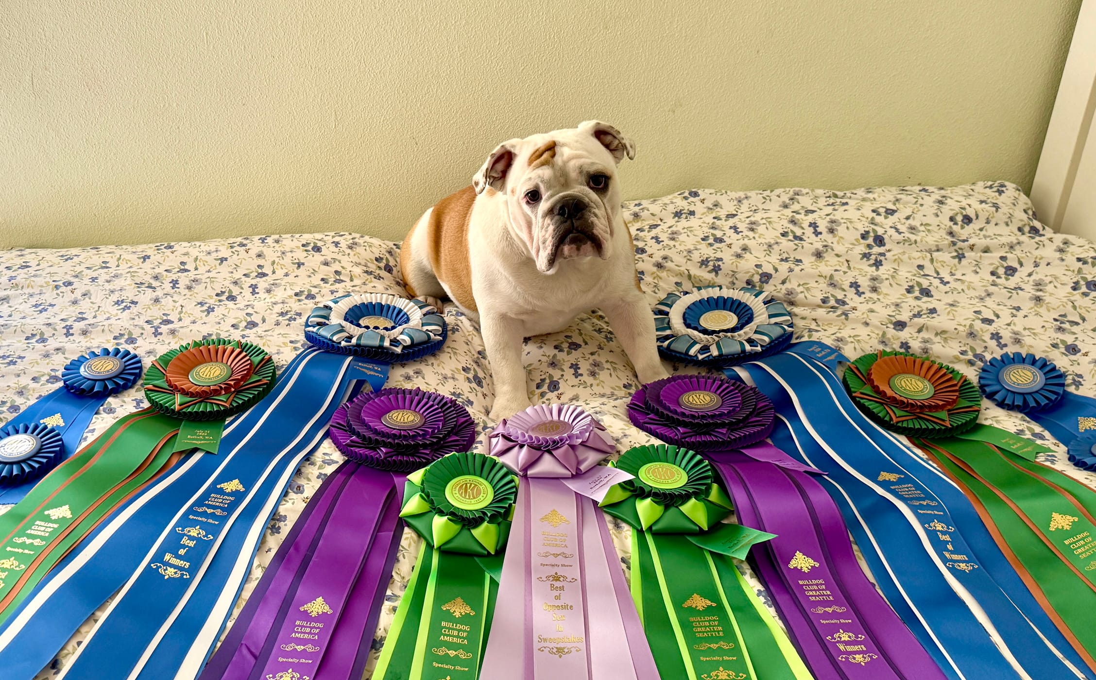 ELLiE HaS a MAJORLY SuCCeSSFuL CoNFoRMaTiON DeBuT!