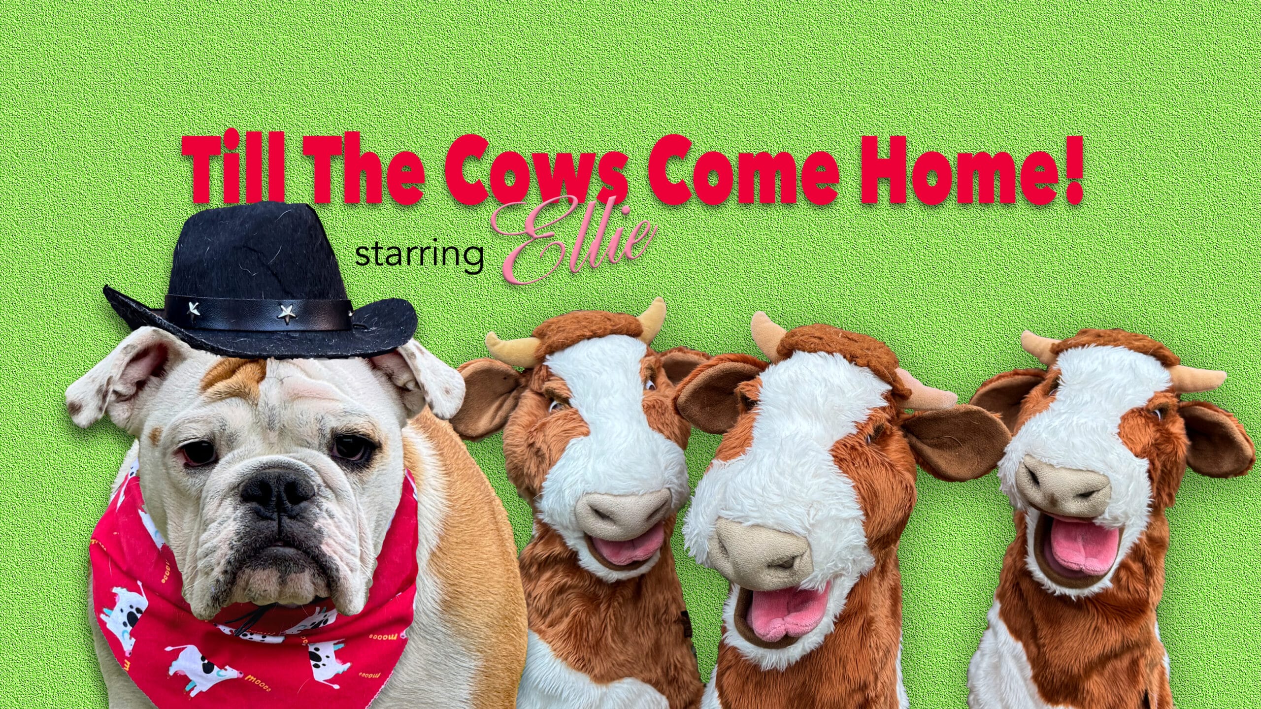ELLiE JOiNS tHE ToP SiTTiNGBuLLiES TRiCkSTeRS!